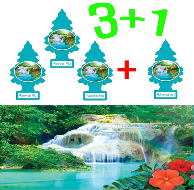 리틀트리 방향제 3+1 총(4 개) 차량용 방향제 총 (4 개) 종이방향제 디퓨져 미국산 옷장 화장실 방향제, 4개