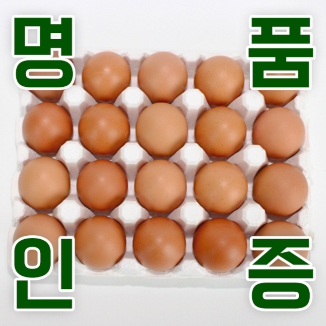 KB farm 계란 명품인증 무항생제 달걀 특란 20구, 1개