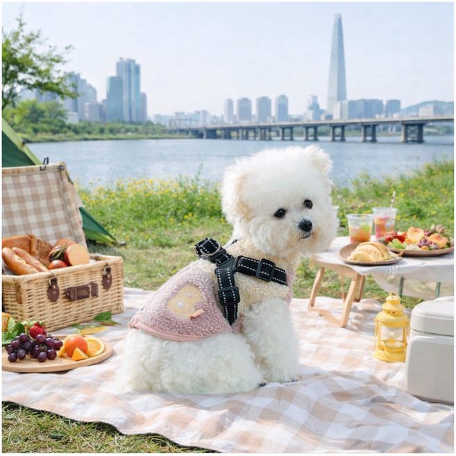 [창고정리] 하네스 일체형 강아지 누비 조끼 곰돌이 패딩 베스트 산책복 소형견 중형견 시즌오프, 핑크, 1개