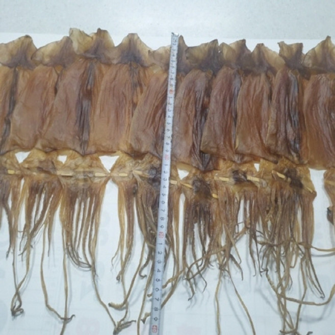 [웰빙건어물]마른오징어중소10마리 대략600g내외 오징어구이 술안주 반찬 주전부리 간식], 1개, 600g정도