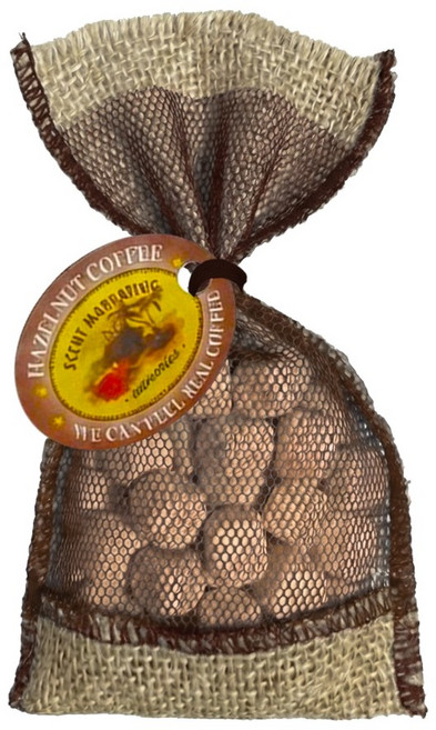 편백나무 커피 방향제 헤이즐넛 실내 차량용 탈취제, 18g, 1개, 커피향