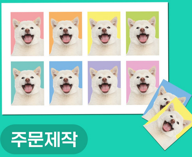 증명사진 셀프 인화 출력 여권 면허증 주민등록증 반명함 굿즈 소량인쇄, 여권/주민등록증