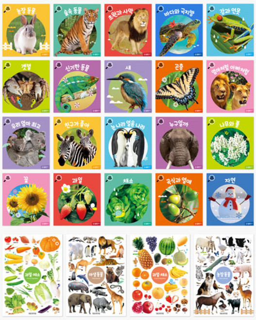 처음 자연 관찰 20권 세트