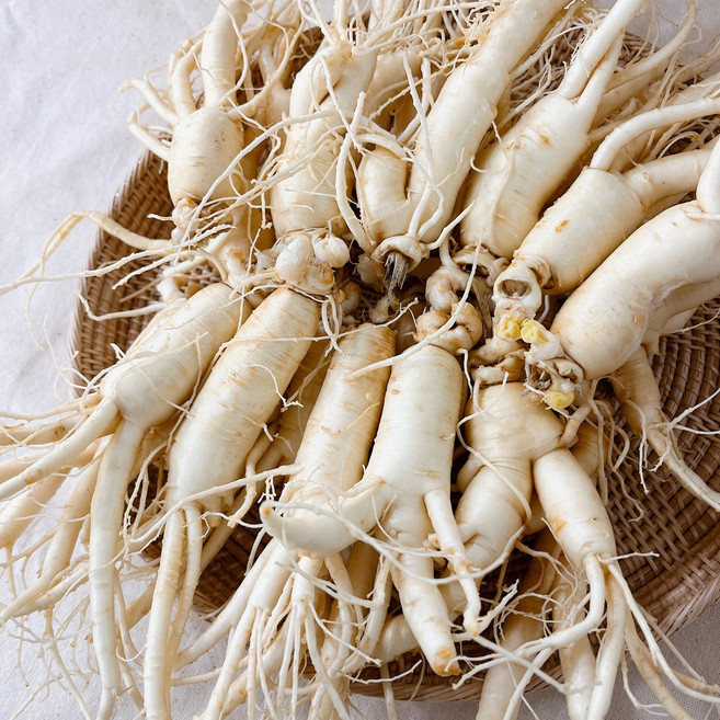 바른인삼 못난이 인삼(중) 600g 9-15뿌리, 1세트