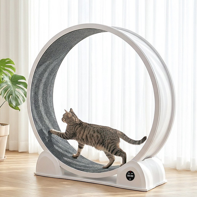 돌아라 저소음 대구경 캣휠 스마트 거리측정 고양이 런닝머신, 1개, 흰색