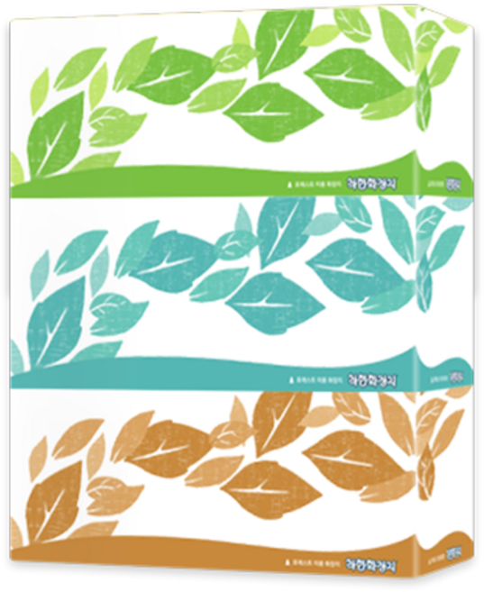 착한화장지 미용티슈 포레스트 2겹 180매 12각, 12박스