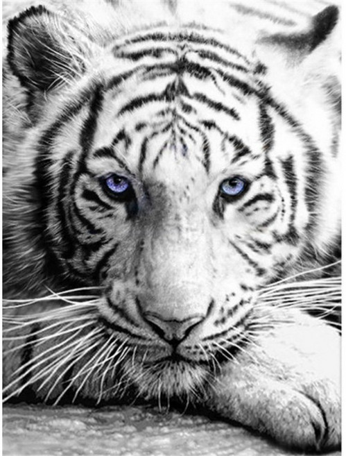 DIY 보석십자수, 1개, 큐빅