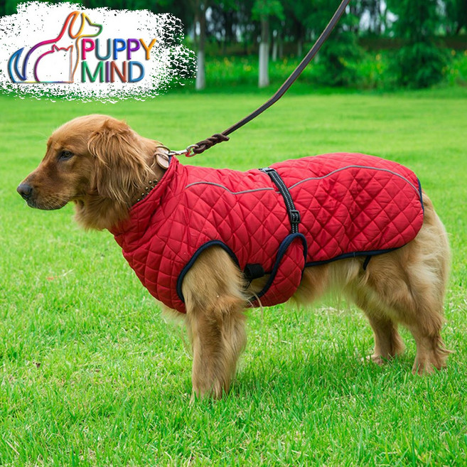퍼피마인드 대형견옷 스트랩 코트, 레드, 1개