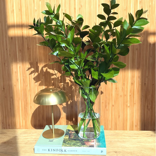 리틀캠든 생화 소재 줄기 루스커스 유스커스 5줄기, 생화소재 루스커스, 10개