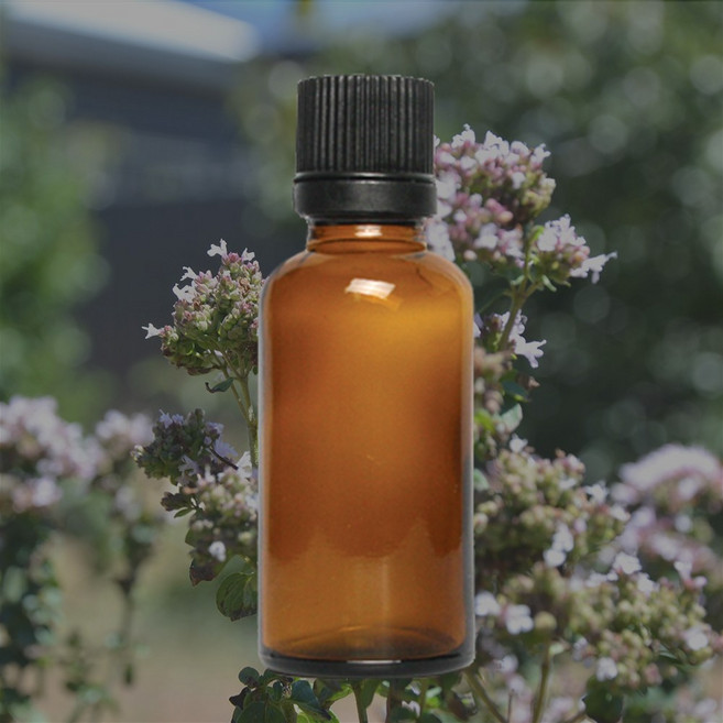 프랑스 나티바 유기농 오레가노 에센셜 오일 100ml, 1개, 단일