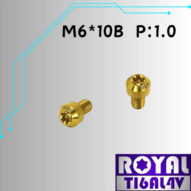 ROYAL 鈦合金螺絲 M6*10B P:1.0 錐形螺絲, 1個