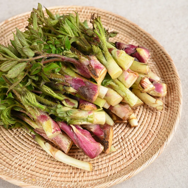 산지특가 국내산 남해 자연산 땅두릅, 1개, 1kg