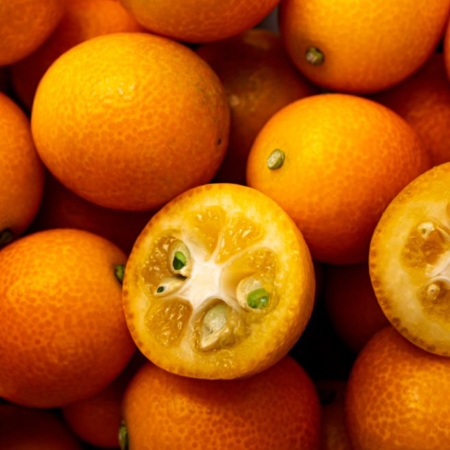 [당일특가] 새콤달콤 제주도 대-특 금귤 낑깡, 1박스, 2kg