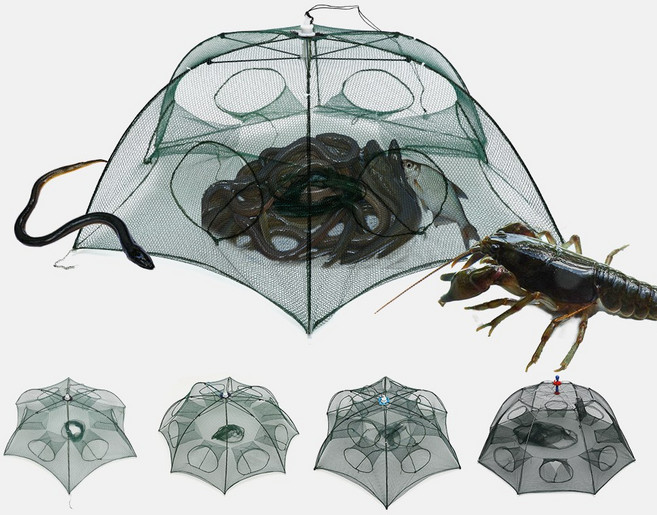 민물 장어 피래미 물고기 통발 어포기