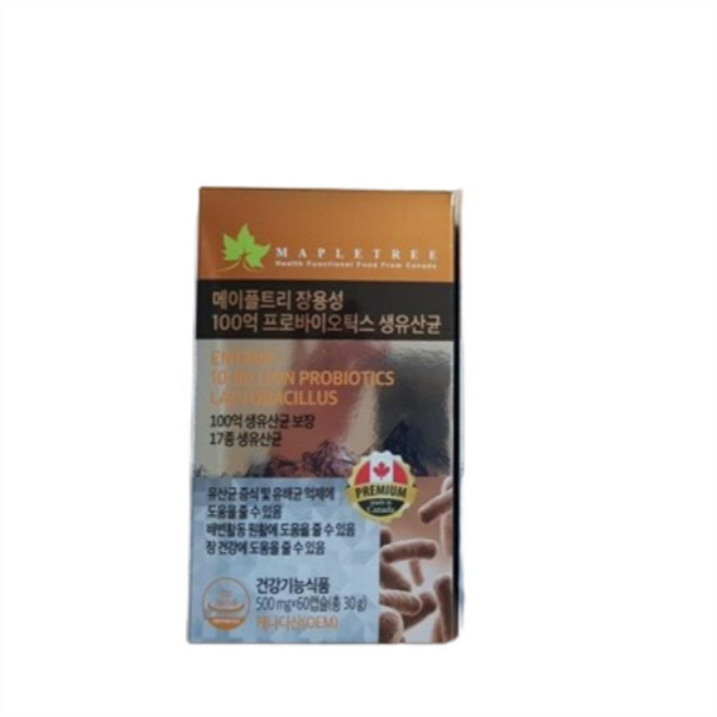 메이플트리 장용성 100억 프로바이오틱스 생유산균, 10박스, 60정