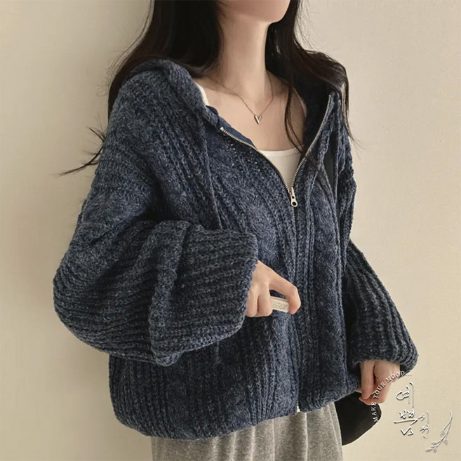 예쁨시전 오버핏 소장템 봄 간절기 꽈배기 니트 후드 집업 가디건