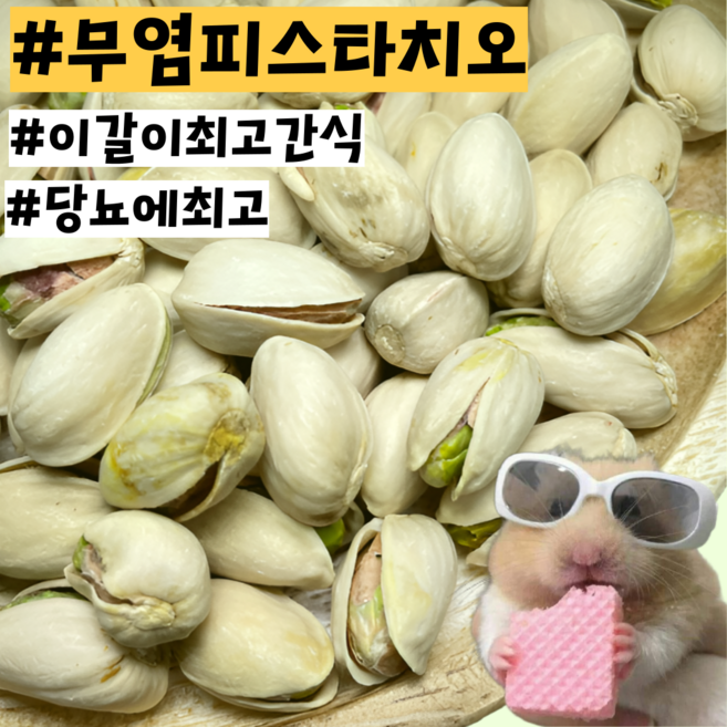 [내일도착] 당뇨예방 무염 햄스터 기니피그 친칠라 이갈이 피스타치오 간식, 16개, 20g