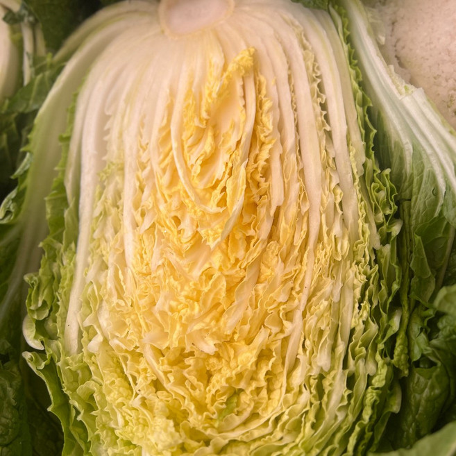 공상청 해남 절임 배추 절임배추20kg, 20kg, 1박스, 3월 출고(주문 후 다음날 출고)