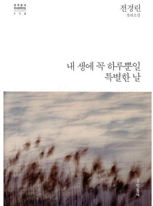 내 생에 꼭 하루뿐일 특별한 날:전경린 장편소설, 문학동네, 전경린