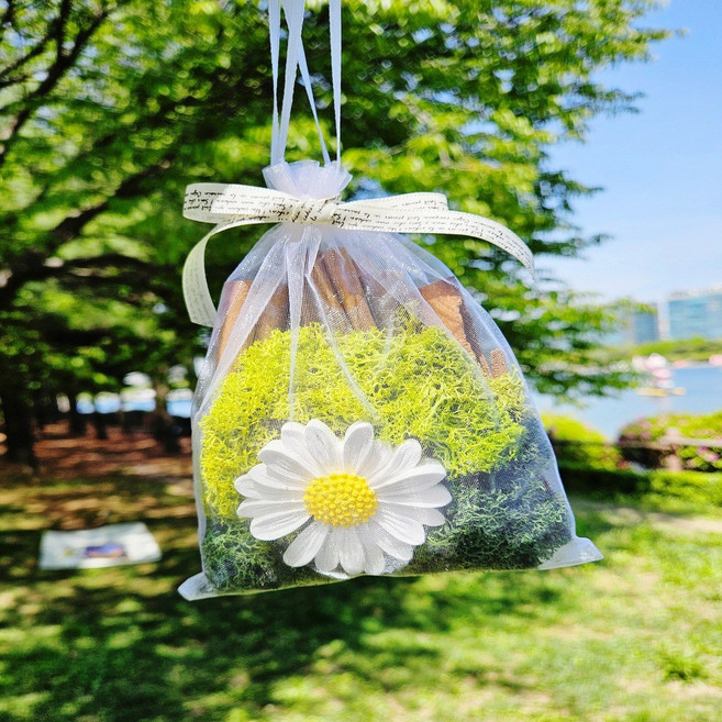 시나몬스틱 천연 날파리 퇴치 벌레가 싫어하는 계피 데이지 해바라기 석고방향제