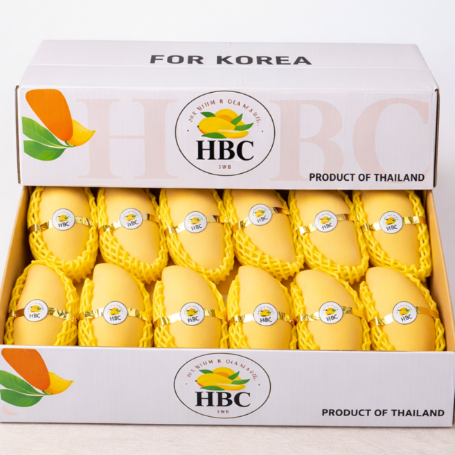 당도선별 태국산 골드 망고 남독마이, 1개, 5kg (12과 내외)