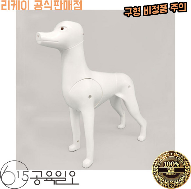 펫토스 푸들 견체모형 푸들 시험용 실습용 독 위그 공육일오 정품, 1개, 공육일오-리케이