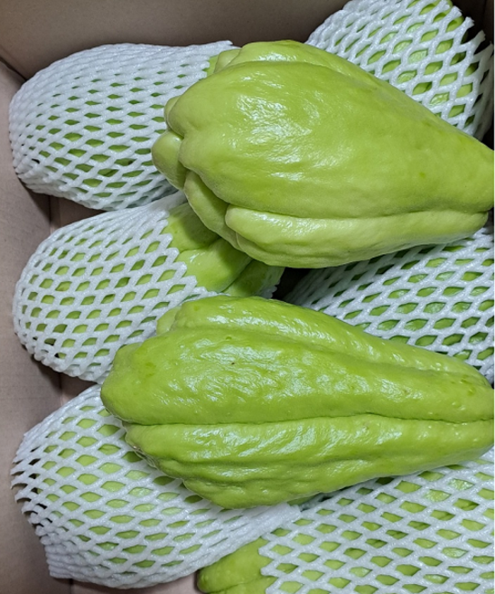 깍두기용 차요테(500g이상 특대 사이즈) 3Kg, 1박스