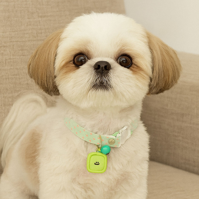 하니펫 강아지 고양이 예쁜 도트 방울 목걸이, 1개, 그린