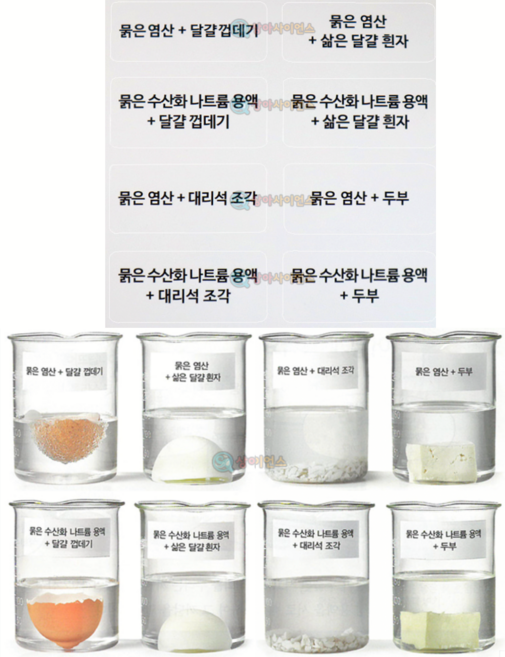 산성 염기성용액 물질구분용스티커 묽은염산 달걀껍데기 8종1조 5매입