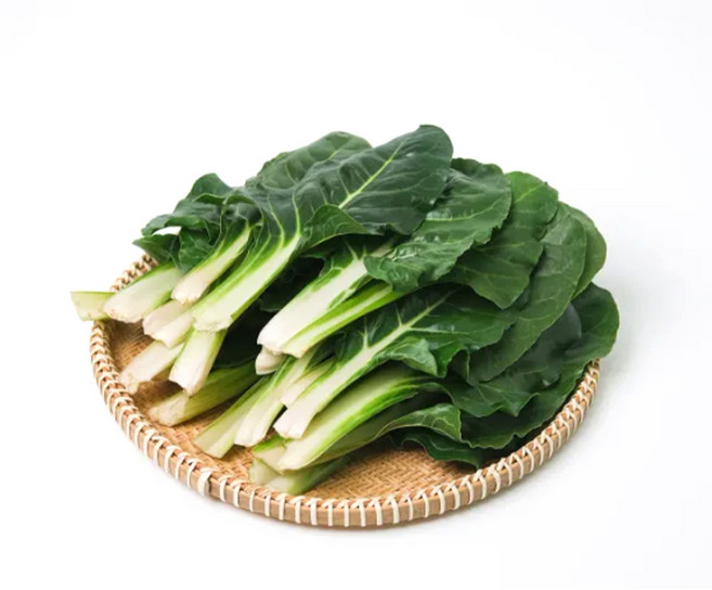 의령농산 건강채소 국내산 근대 500g/1kg/2kg/4kg, 1박스, 500g