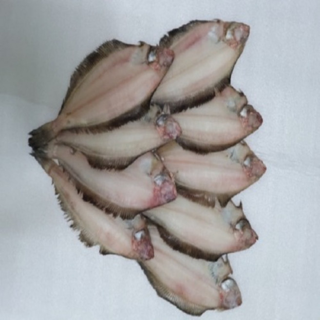 강원 속초 물가자미 반건조코다리 반건조가자미, 미국산 참가자미 8미, 1개