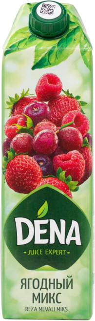 Dena Mixed Berry Juice Uzbekistan 데나 베리 믹스 주스 우즈베키스탄, 3개, 1L