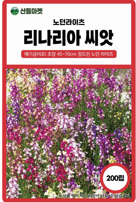 리나리아 씨앗 200립 노던 라이츠 금어초 모양의 일년생 꽃씨 종자, 2개
