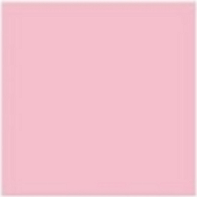 팬톤페인트 실내용 무광 1L 친환경프리미엄수성페인트, 13-2006, 1개