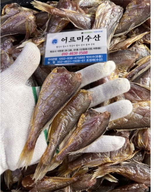 굵은 씨알 생물 목포 A급 황석어 깡다리 황실이, 1개, 반건조 1kg