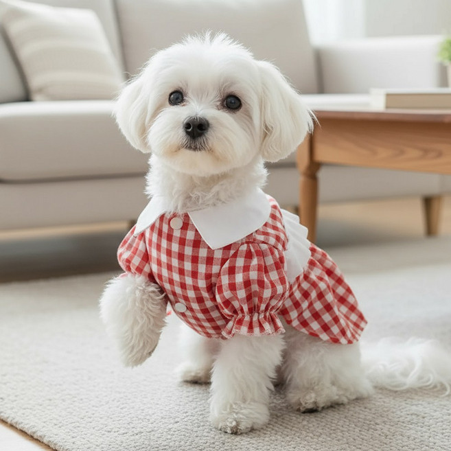 쁘띠도그 체크카라원피스 봄가을 반려동물 강아지옷 체크 카라 원피스 XS~XL, 1개, 레드