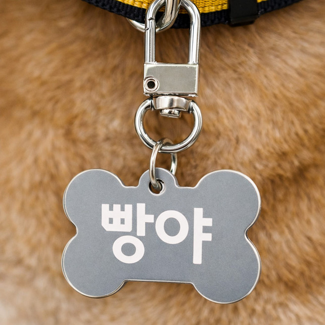 강아지인식표 가볍고 걸기편한 원터치 뼈모양이름표, 1개, 실버