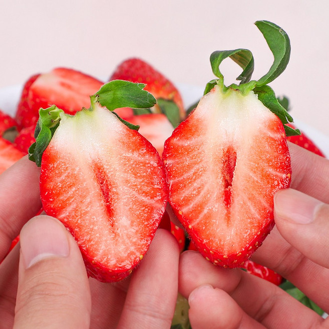 [GAP인증] 향긋하고 달콤한 과즙팡팡 논산 설향딸기, 1개, 쨈용 딸기 1kg