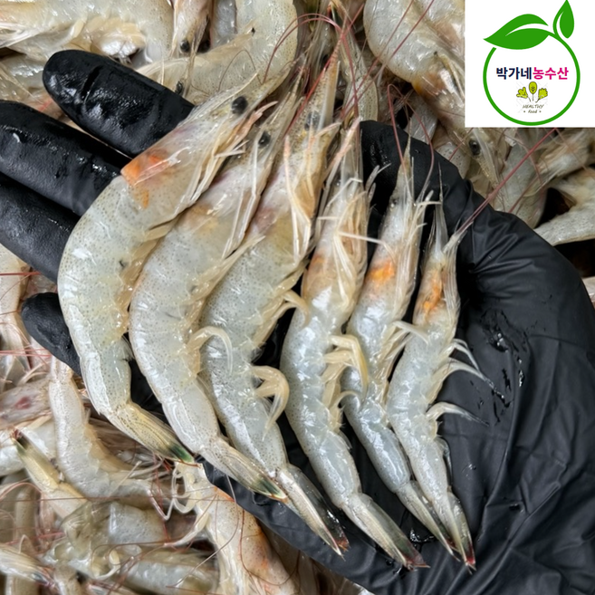 국내산 여수 생물 냉동 새우 중하새우, 1개, 여수 [급냉] 중하새우 1kg(60-80미)