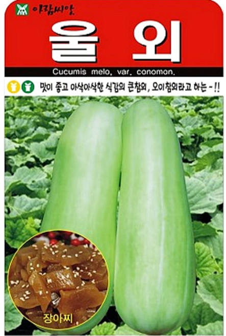 [주주씨앗] 오이참외 울외 씨앗 20립 / 봄-여름 파종 작물 / 장아찌로 만들기 좋은 울외 씨앗