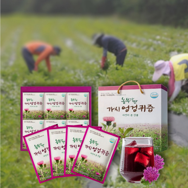 농부가 짠 나주 엉겅퀴즙 진액 밀크씨슬 국내산, 100ml