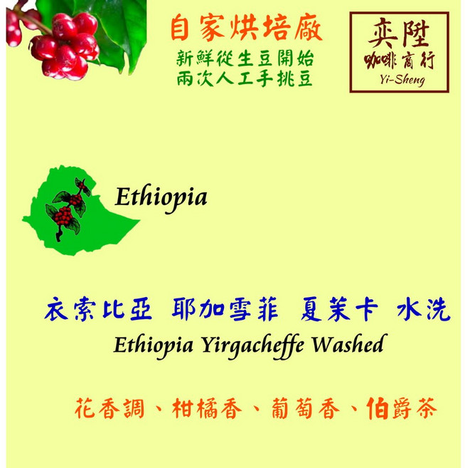奕陞 耶加雪菲咖啡豆, 1個, 耶加雪菲 夏茉卡 水洗 半磅-中淺焙