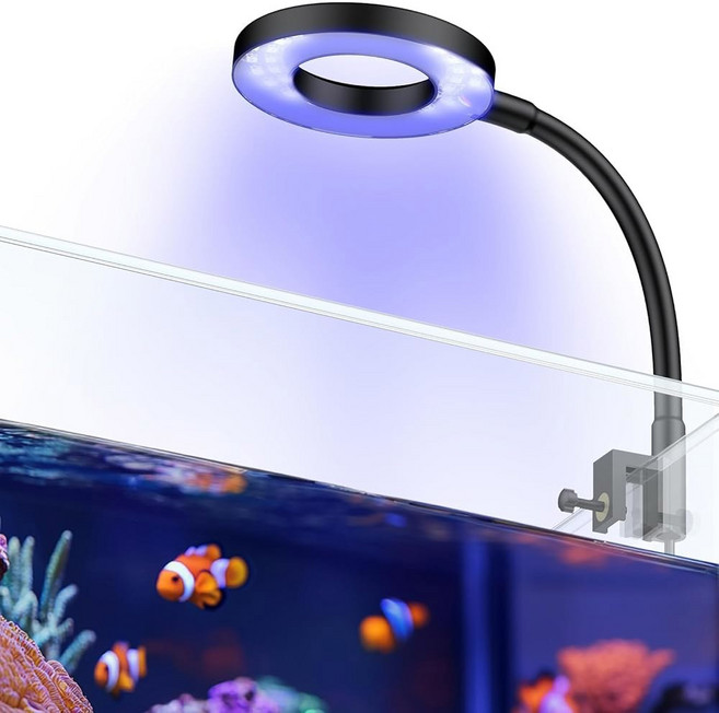 5갤런 어항용 PAWFLY 6W LED 수족관 조명 어항 조명 USB 이동 램프 전체 스펙트럼 디밍 가능한 흰색 파란색 빨간색 녹색 타이머 어댑터 미포함, For 1 to 3 Gallon Fish Tank