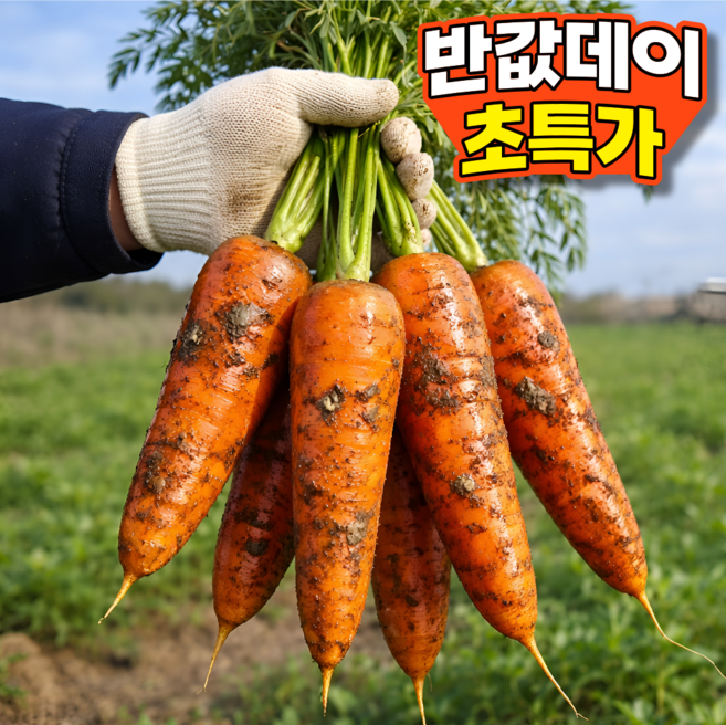 [오늘만초특가] 국내산 자연단맛 햇 흙당근, 1박스, 5kg (왕)