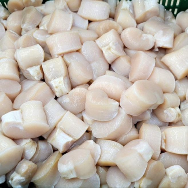 싱싱햇 국산 키조개관자 조개 키조개 관자, 1세트, 생물 1kg(20-25미), 생물