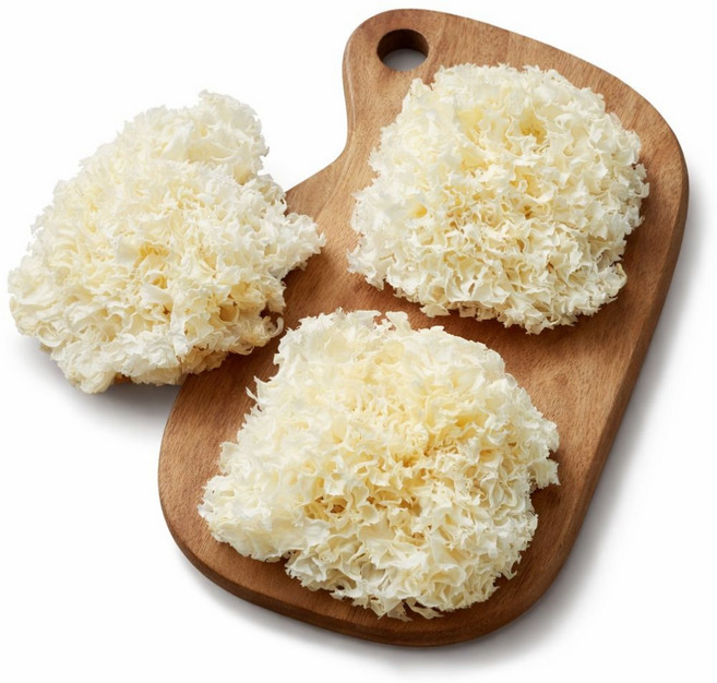 갑당약초 흰목이버섯 은이버섯 500g, 1개