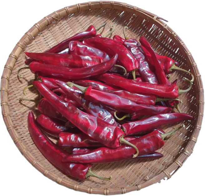 25년 햇건고추 말린고추 건고추 영주 국산, 1개, 건고추(청양초/매운맛) 600g