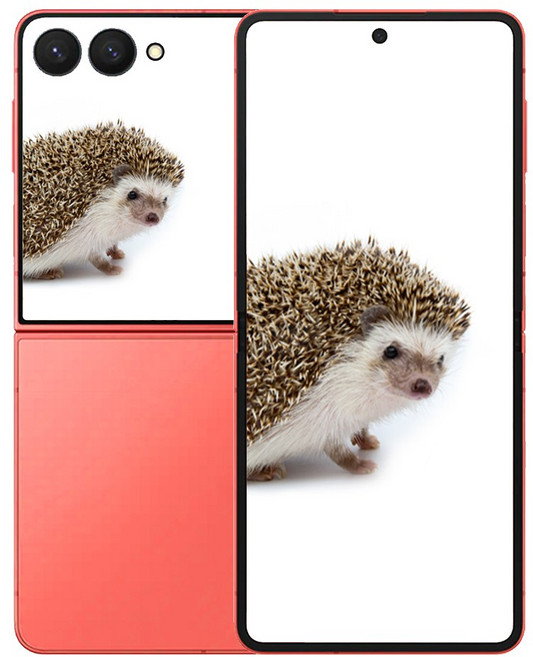 삼성전자 갤럭시 Z 플립7, 256GB, 코랄 레드 색상 선택하기