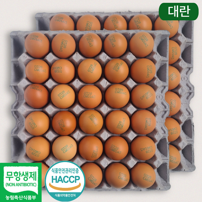 [제이피농장] 난각번호 3번 무항생제 계란 신선한 대란 HACCP, 1개, 60구