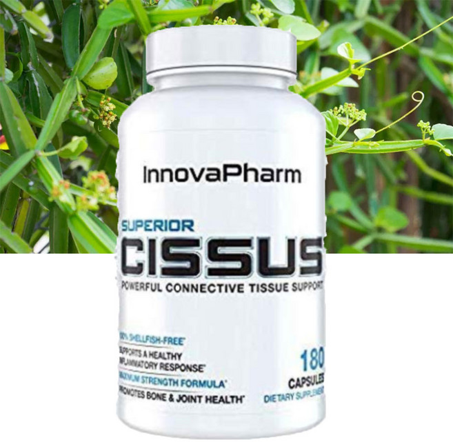 InnovaPharm Superior Cissus 이노바팜 슈페리어 시서스 씨서스 4800mg 180캡슐, 1개, 180정